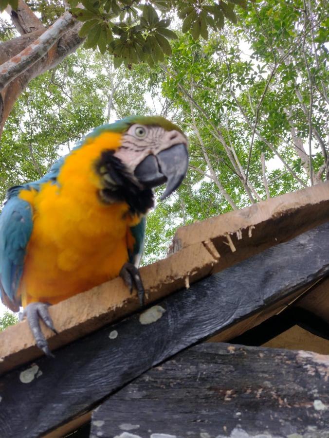 Hotel Alto Amazonas Летисия Екстериор снимка