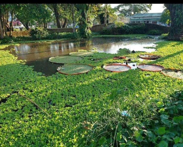 Hotel Alto Amazonas Летисия Екстериор снимка